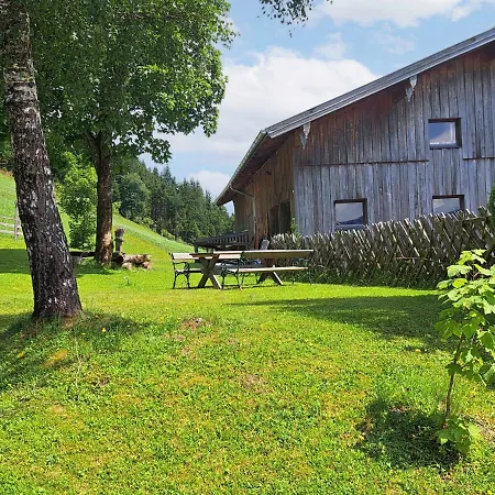 Bischofsmuetze By Interhome * Filzmoos