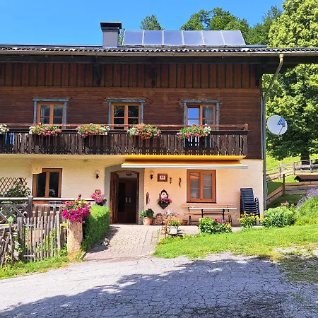 Bischofsmuetze By Interhome Apartment Filzmoos