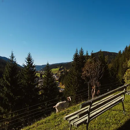 Bischofsmuetze By Interhome Filzmoos