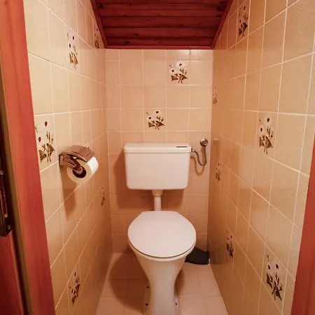 Bischofsmuetze By Interhome *